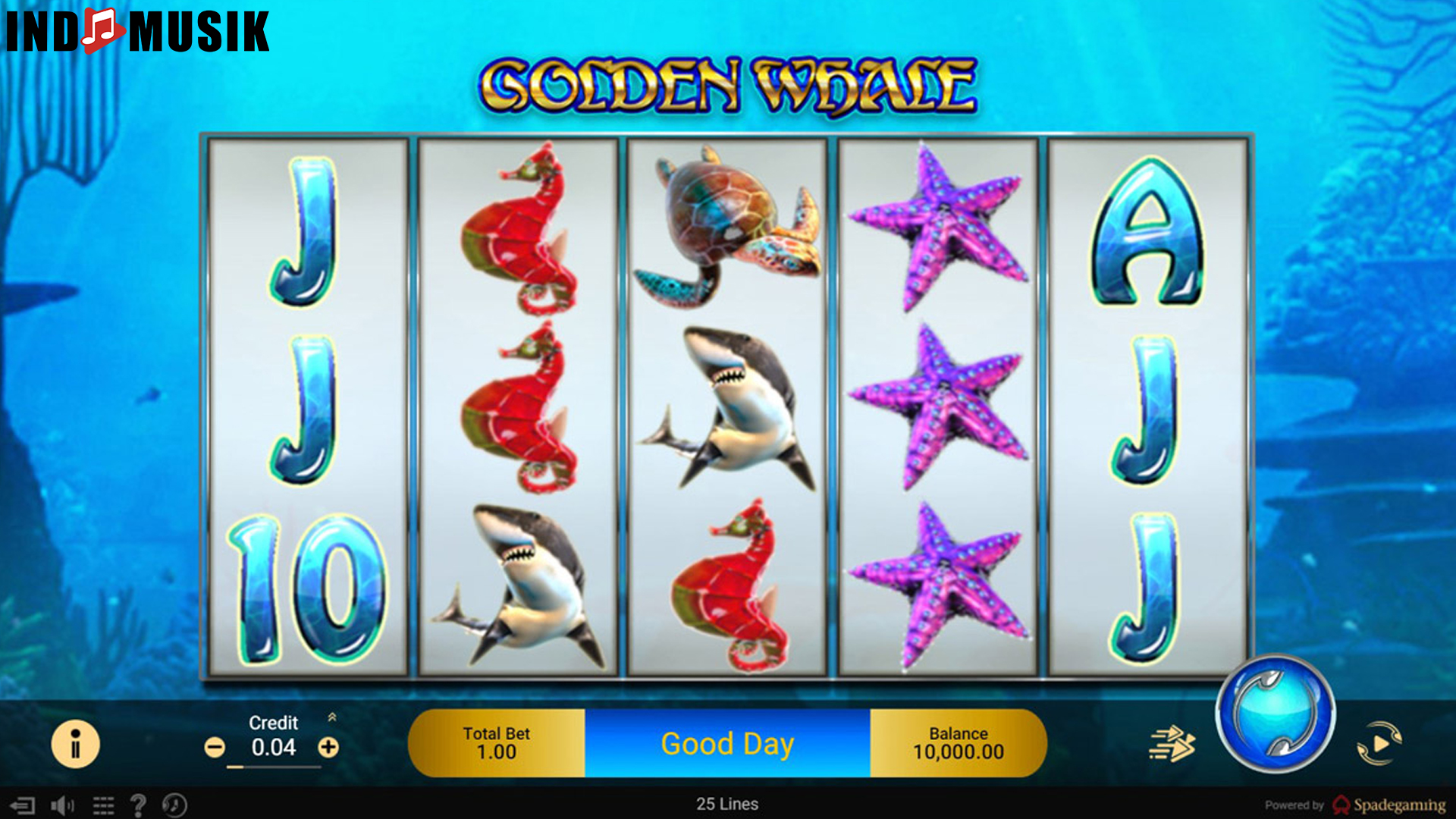 Golden Whale: 3 Keunikan Rahasia yang Perlu Kamu Tahu 4 Golden Whale: 3 Keunikan Rahasia yang Perlu Kamu Tahu